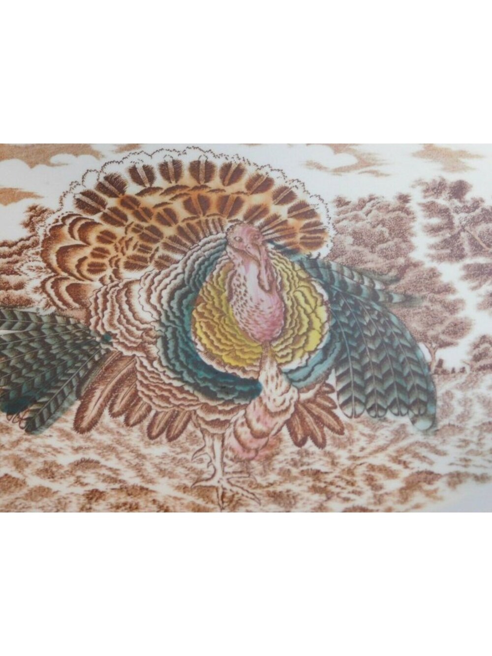 Vintage Transferware Turkey Serving Platter Oval Design Tableware Decor 18 inch
